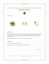 Jewelry Appraisal