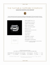 Jewelry Scan Report