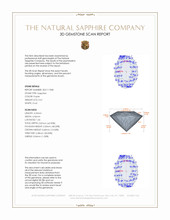 Jewelry 3 D Scan Report