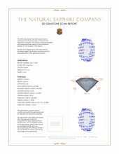 Jewelry 3 D Scan Report