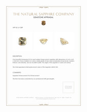 Jewelry Appraisal