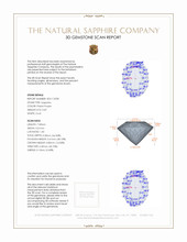 Jewelry 3 D Scan Report