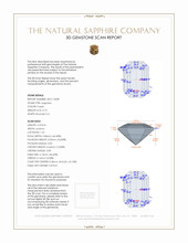 Jewelry 3 D Scan Report