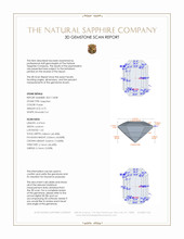 Jewelry 3 D Scan Report