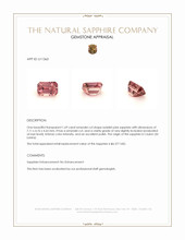 Jewelry Appraisal