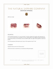 Jewelry Appraisal