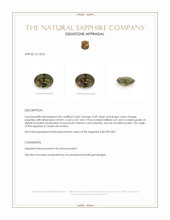 Jewelry Appraisal