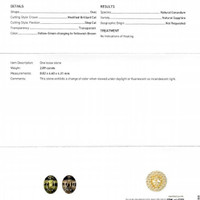 Jewelry Scan Report