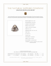 Jewelry Scan Report
