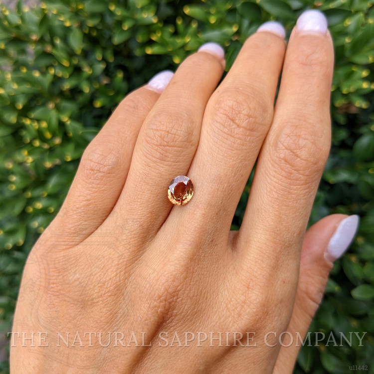 1.64 Ct. Yellowish Brown Sapphire from Ceylon (Sri Lanka)