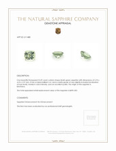 0.49 Ct. Bluish Green Sapphire from Montana Appraisal