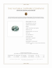 Jewelry Scan Report