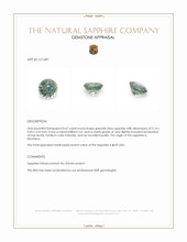 Jewelry Appraisal
