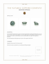 Jewelry Appraisal