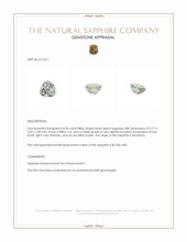 Jewelry Appraisal