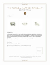 Jewelry Appraisal