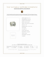 Jewelry Scan Report