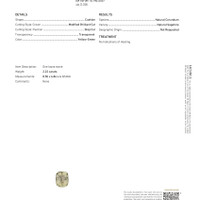 Jewelry Scan Report