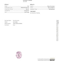 Jewelry Scan Report