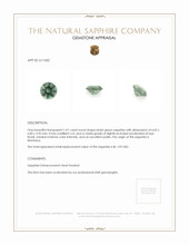 Jewelry Appraisal