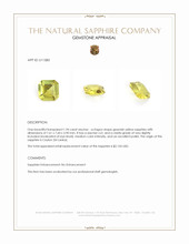Jewelry Appraisal