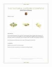 Jewelry Appraisal