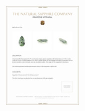 Jewelry Appraisal