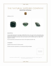Jewelry Appraisal