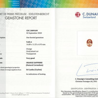 Jewelry Scan Report