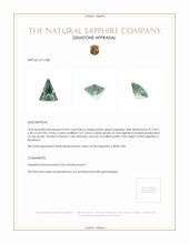 Jewelry Appraisal