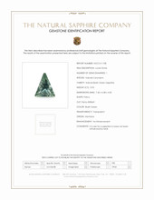Jewelry Scan Report