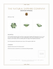 Jewelry Appraisal