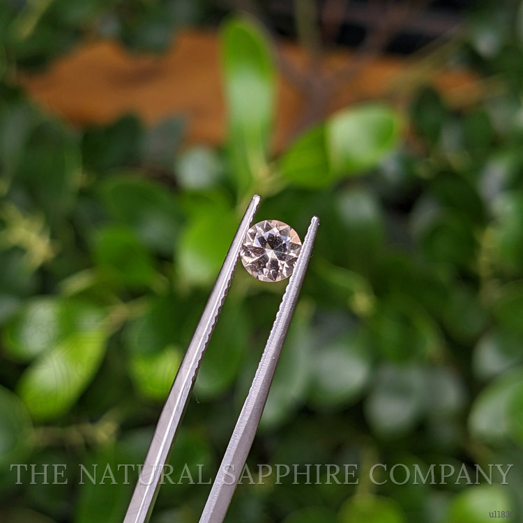 0.58 Ct. Greenish Brown Sapphire from Montana
