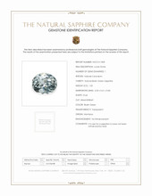 Jewelry Scan Report