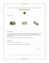 1.14 Ct. Yellowish Green Sapphire from Montana Appraisal
