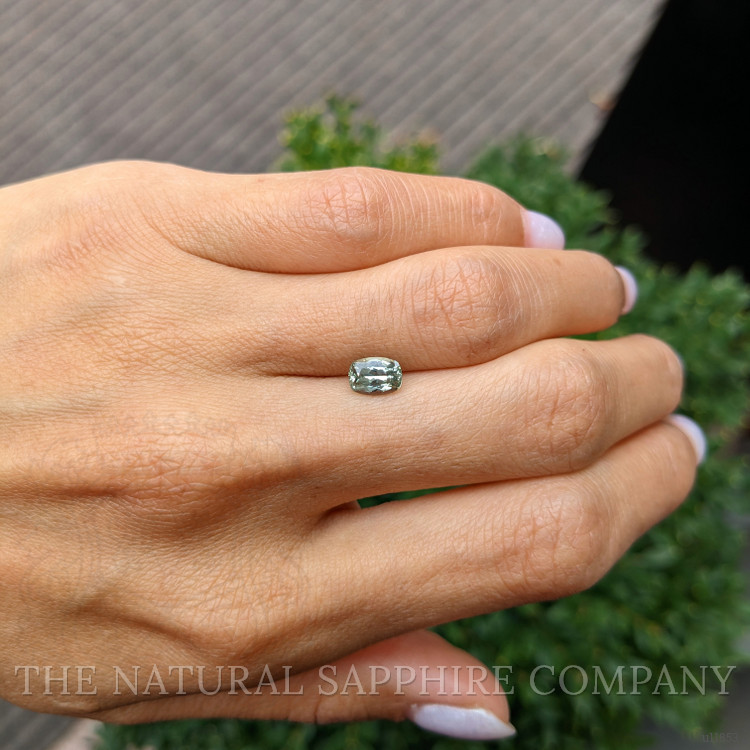 1.14 Ct. Yellowish Green Sapphire from Montana