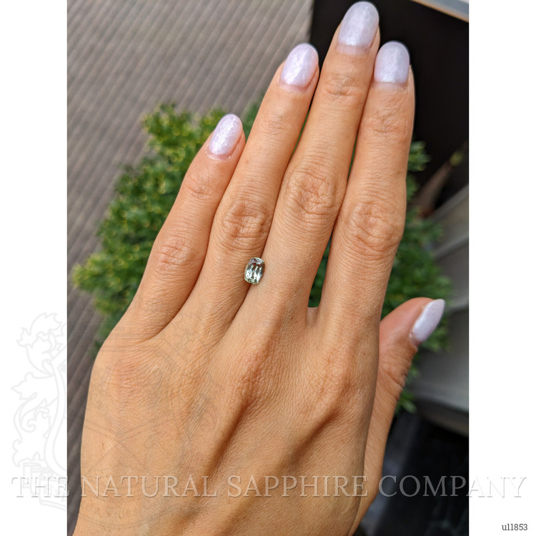 1.14 Ct. Yellowish Green Sapphire from Montana