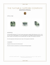 Jewelry Appraisal