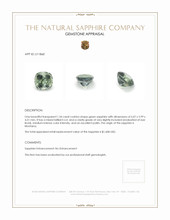 Jewelry Appraisal