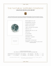 Jewelry Scan Report