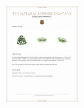 Jewelry Appraisal
