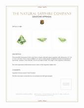 Jewelry Appraisal