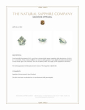 Jewelry Appraisal
