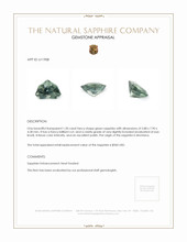 Jewelry Appraisal