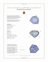 Jewelry 3 D Scan Report