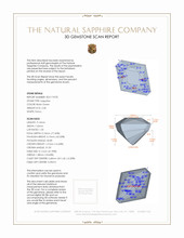 Jewelry 3 D Scan Report