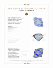 Jewelry 3 D Scan Report