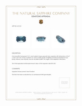 Jewelry Appraisal