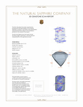Jewelry 3 D Scan Report