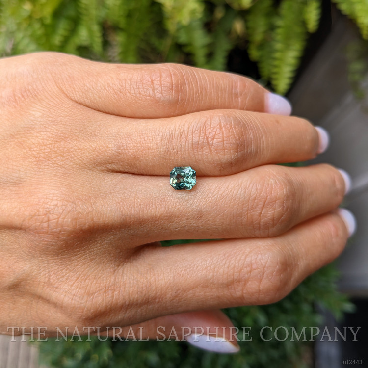 1.40 Ct. Yellowish Green Sapphire from Madagascar